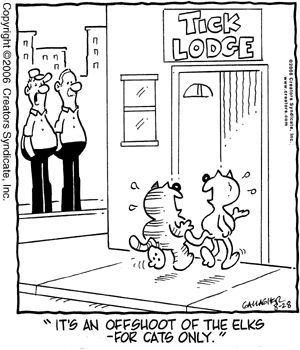 heathcliff
